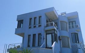 Blue House
